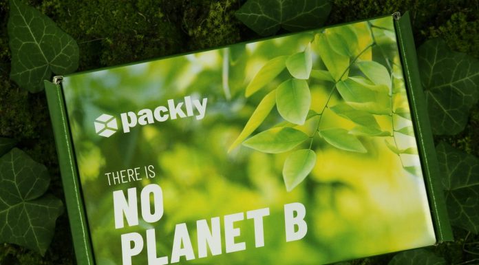 packaging sostenibile ecologico